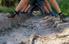 thumbnail - 